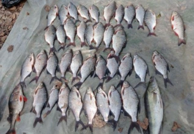 Киевский рыбоохранный патруль поймал браконьера в первый день запрета на лов рыбы (фото)