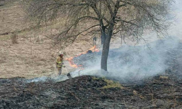 На Киевщине еще один человек погиб, поджигая сухую траву