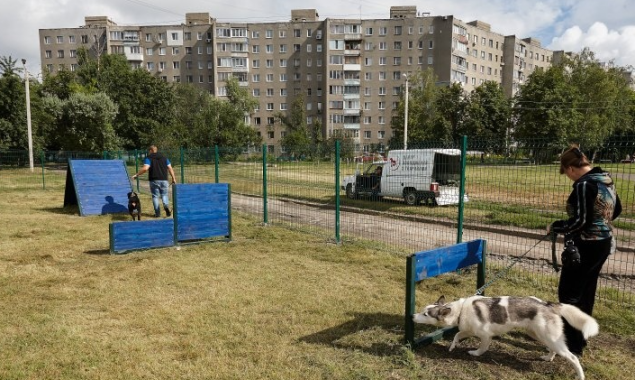 Жители Святошинского района Киева жалуются на нехватку площадок для собак