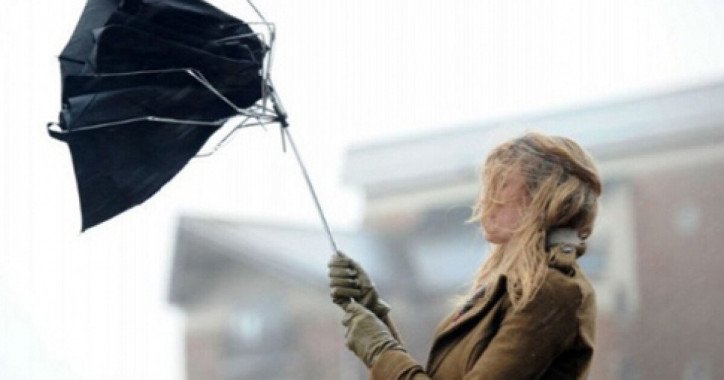 В Киевской области объявили первый уровень опасности из-за ветра