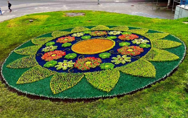 Киев встретил 20 мая “вышиванками” из цветов в парках (фото)