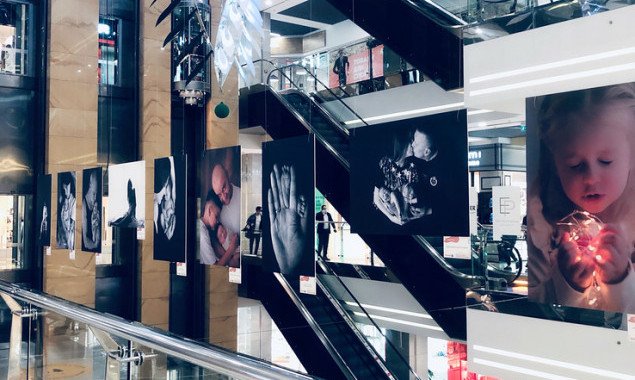 В столичном ТРЦ Gulliver открылась фотовыставка Елены Пономаревой “Защита это...”
