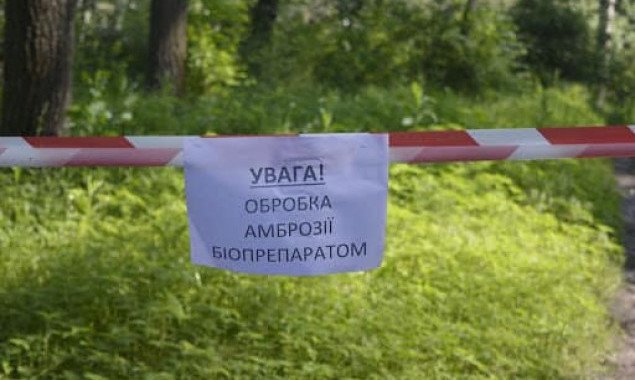 Жителей и гостей Бучи на Киевщине просят не гулять вокруг озера в городском парке