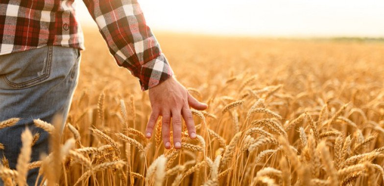 В Украине увеличился налог на доход по страховым договорам для аграриев
