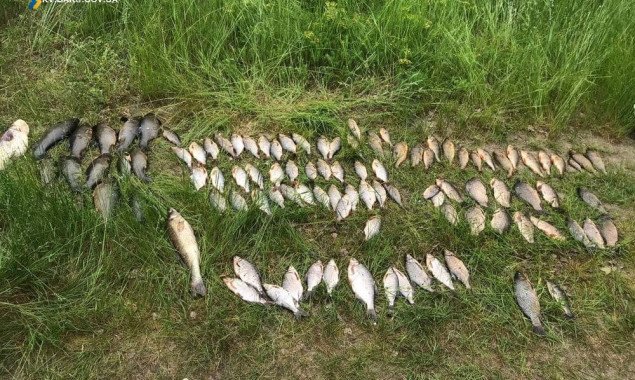 Киевский рыбоохранный патруль за полгода раскрыл почти полторы тысячи нарушений