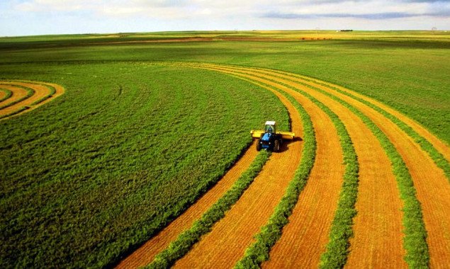 Що робити фермерам після відкриття ринку землі: можливості та нововведення