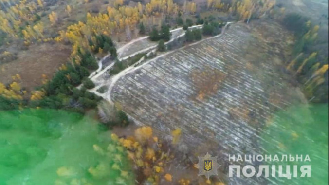 Правоохранители сообщили о подозрении в незаконной вырубке леса должностным лицам госпредприятия “Киевлесозащита” (фото)