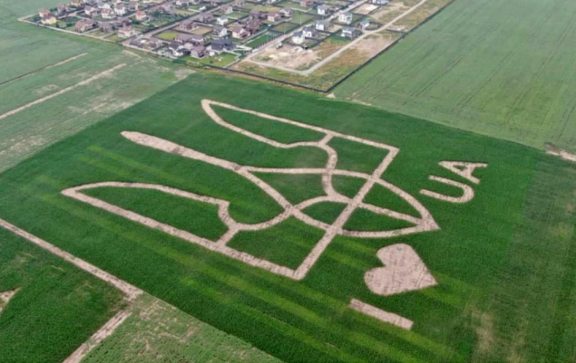 Неподалеку от аэропорта Борисполь на поле высеяли гигантский герб Украины (видео)