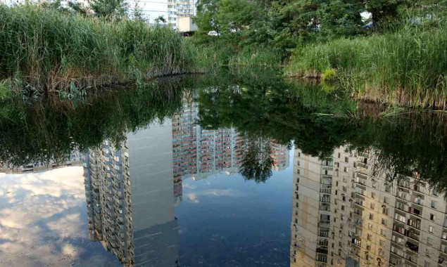 Кличко попросили очистить озеро Вулык в Дарницком районе Киева