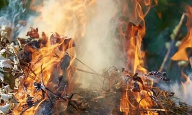 Жителей Киевщины предупредили об ужесточении наказания за сжигание листьев