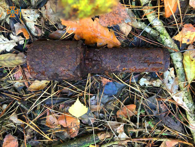 Под Киевом женщина в лесу обнаружила гранату