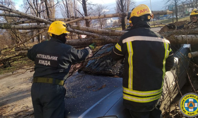 Сильный ветер ломал деревья в Киеве и обесточил десятки населенных пунктов на Киевщине (фото)