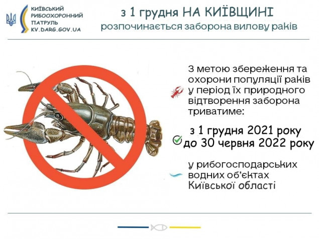 С сегодняшнего дня, 1 декабря, на Киевщине запрещена ловля раков