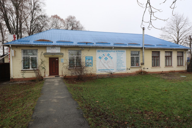В селі Шевченкове на Київщині створять притулок для постраждалих від насильства