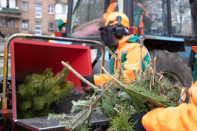 В Киеве будут работать пункты утилизации новогодних елок (список адресов)