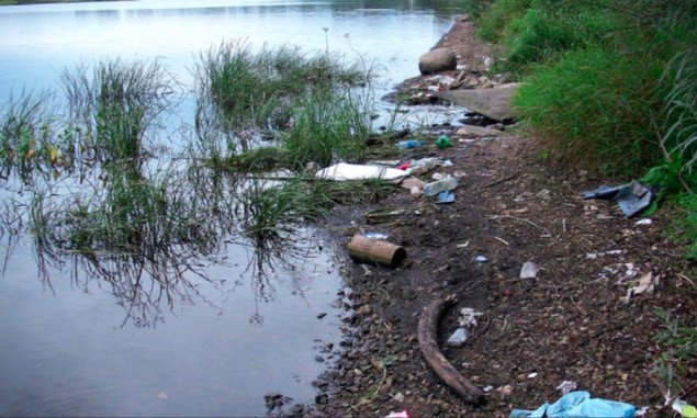 Столичную власть призвали спасти экосистему озера Радунка и очистить берег от мусора