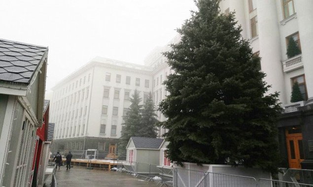 Возле Офиса президента в Киеве установили новогоднюю елку