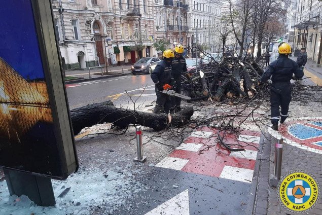 Спасатели освобождают улицы Киева от упавших деревьев (фото)