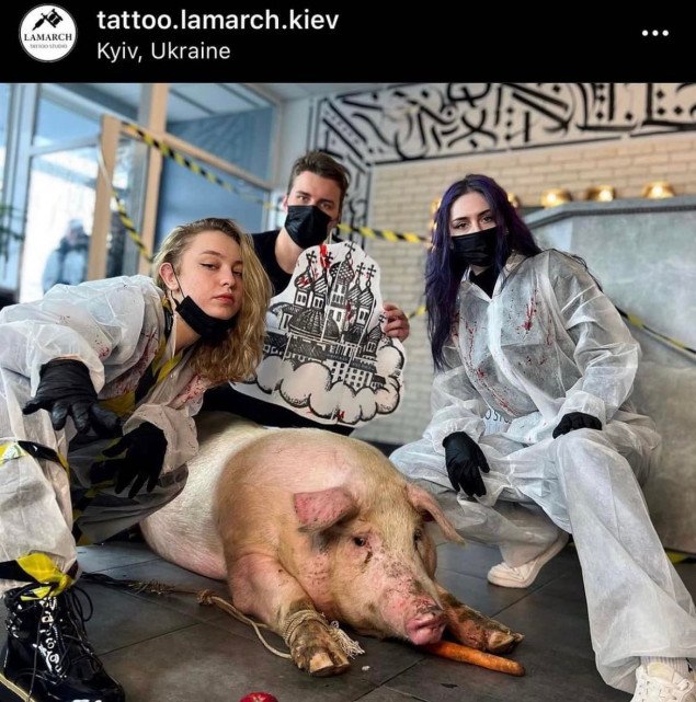 В Киеве полиция расследует скандал со свиньей в тату-салоне