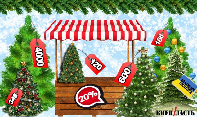 Святкове здорожчання: на Київщині стартував продаж новорічних ялинок (адреси та ціни)