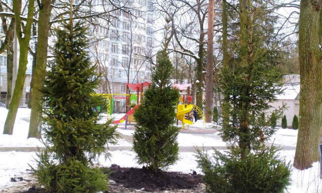 Полсотни деревьев высадили в Святошинском районе Киева (фото)