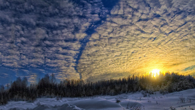 Погода в Киеве и Киевской области: 18 января 2022 года
