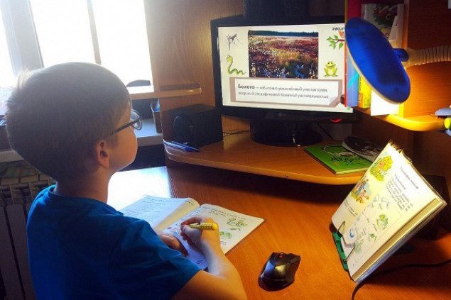 Три школы Бучанского горсовета на Киевщине перешли на дистанционное обучение