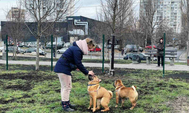 В прошлом году в Киеве появилось 9 новых площадок для выгула и дрессировки животных (адреса, фото)
