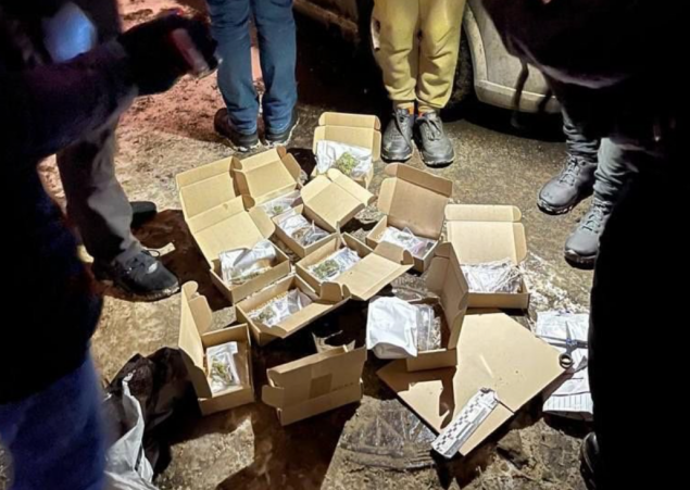 У задержанного в Киеве наркоторговца изъяли “посылки” с психотропными грибами и каннабисом на 150 тысяч гривен