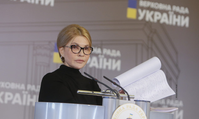 Тимошенко требует от власти принятия законов для работы ФЛП