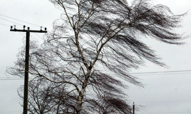 Киевлян и жителей области предупреждают о сильных порывах ветра сегодня, 18 января