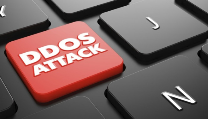 Нацполиция открыла уголовное производство по факту DDoS-атак на украинские вебресурсы