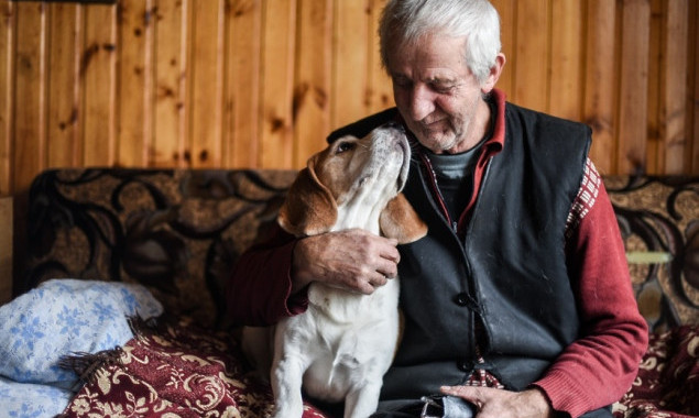 В Киеве до 15 марта будут бесплатно стерилизовать домашних животных пенсионеров