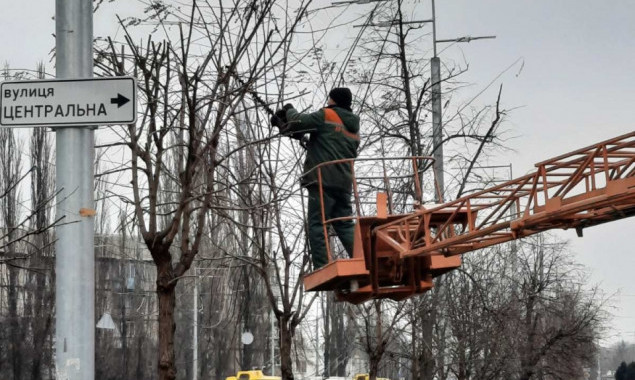 В Шевченковском районе столицы коммунальщики начали работы по кронированию и удалению аварийных деревьев (фото)
