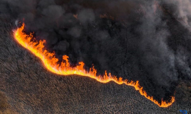 Поблизу ЧАЕС пожежею охопило понад 10 тисяч гектарів лісів