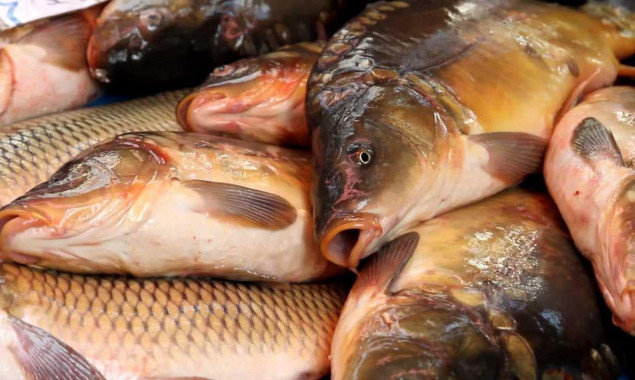 Бійцям Теробороні Київщини передали майже тонну риби