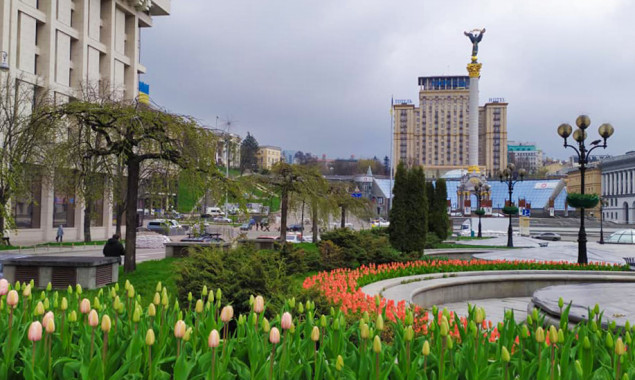 У Києві розквіли тюльпани