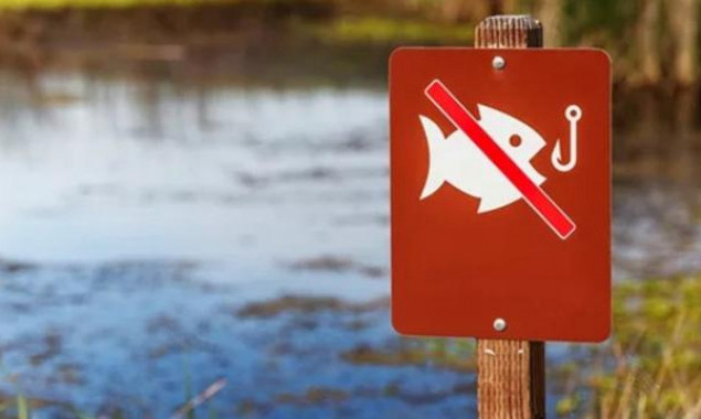 Відсьогодні на Київщині встановлено заборону на вилов риби