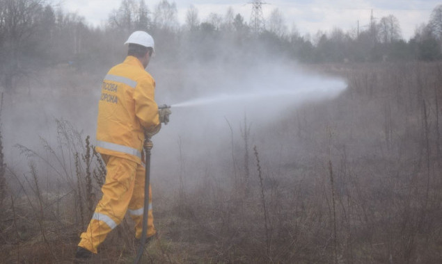 У Чорнобильській зоні вирує найбільша з початку року пожежа