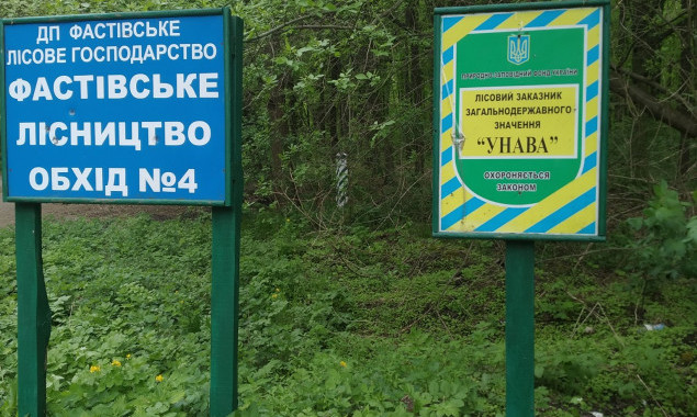 Екологи продовжують боротися в судах з “окупантами” заповідників на Київщині