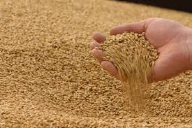 Росія намагалася продати Єгипту вкрадене в Україні зерно