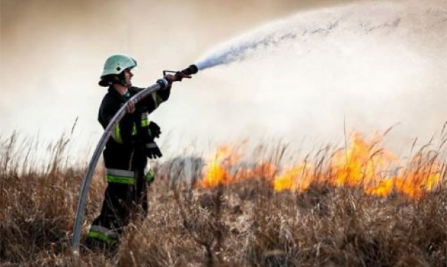 Надзвичайний рівень пожежної небезпеки збережеться у Києві до 16 травня, – “Укргідрометцентр”