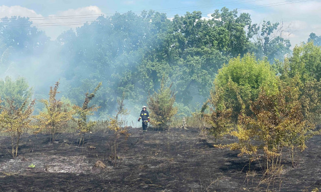 Ситуація з пожежами в природних екосистемах на Київщині набуває загрозливого характеру, - ДСНС