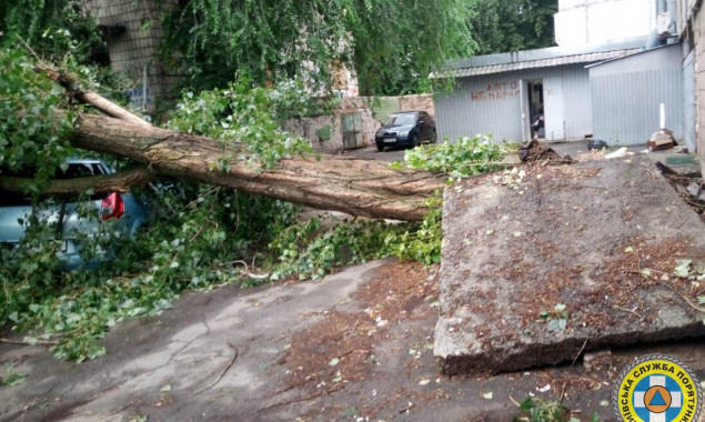 Вчорашня негода у Києві пошкодила понад 200 дерев, затопила вулиці та змінила рух тролейбусних маршрутів
