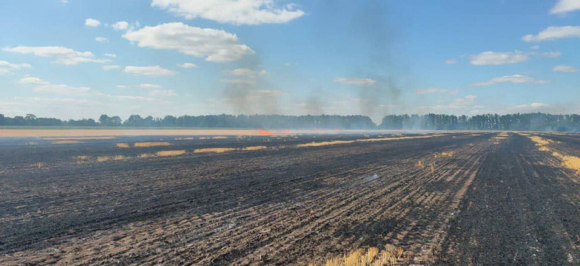 На Дніпропетровщині через ворожі обстріли згоріло понад 400 гектарів посівів