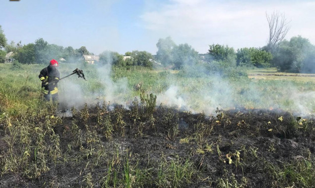 У Плесецькому на Київщині вогнеборці ліквідували пожежу біля озера