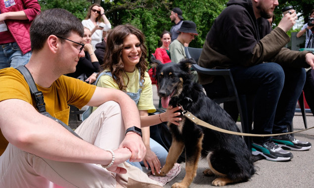 У Києві в неділю, 17 липня, притулок для тварин на ВДНГ проведе День відкритих дверей
