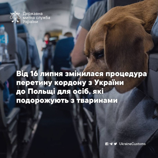 Зміни в процедурі перетину кордону Україна-Польща для осіб із тваринами, - Державна митна служба