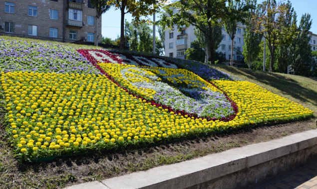 На столичному Печерську створили квіткове панно на честь полку “Азов” (фото)