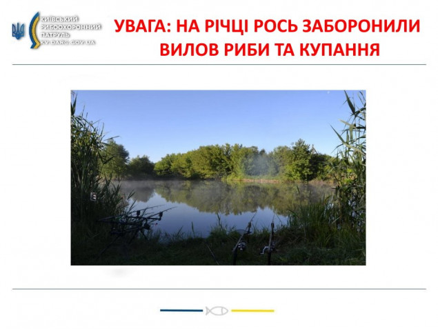 У річці Рось на Білоцерківщині заборонили купання, вилов риби та водопій худоби